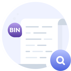 bin search