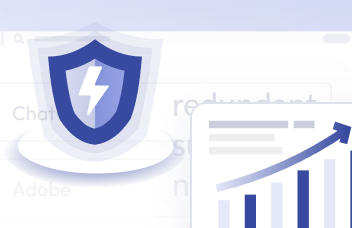 Security and Fraud Controls